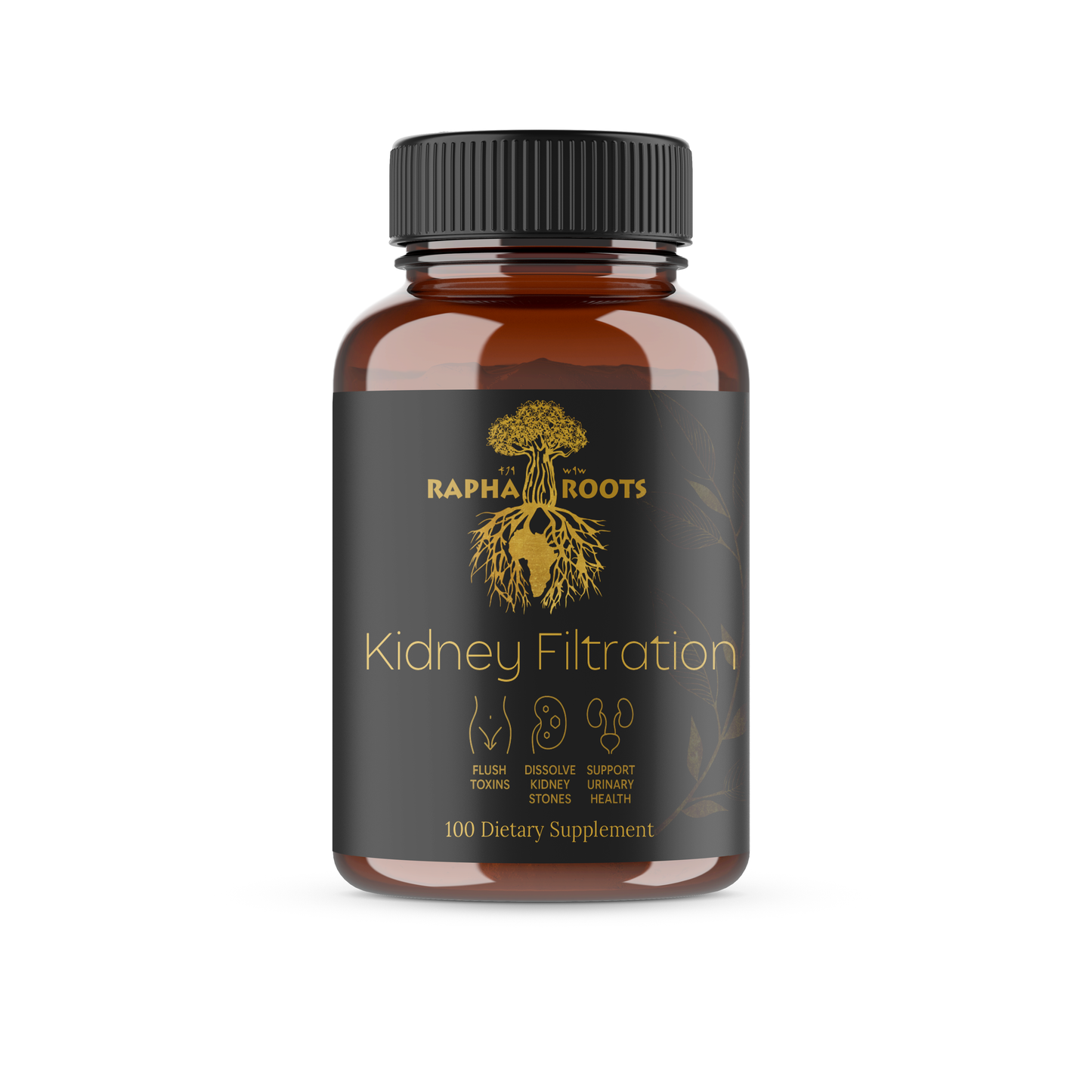 Kidney Filtration | Best Kidney Detox Supplement for Kidney Health