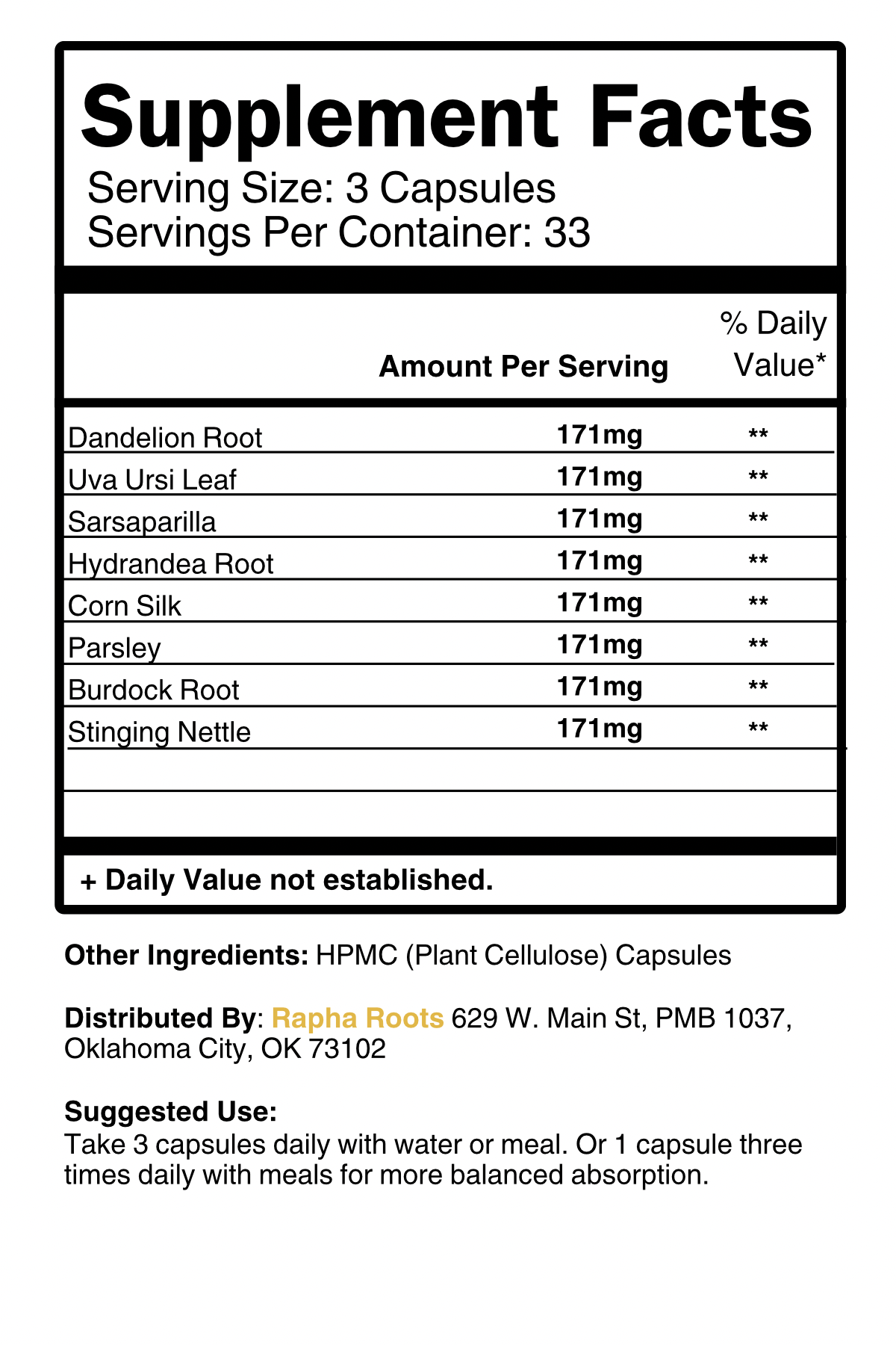 Kidney Filtration | Best Kidney Detox Supplement for Kidney Health